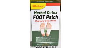 Wins Town Herbal Detox FOOT Patch 30 Pads
