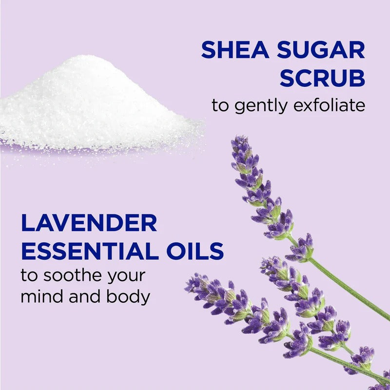 Dr Teal's Shea Sugar Body Scrub with Lavender Essential Oils – 454g