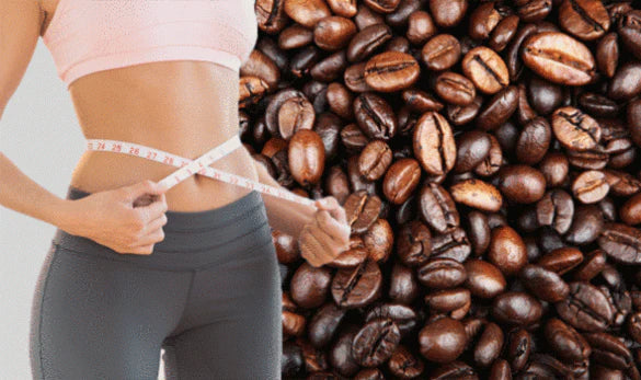 WINS TOWN Enzyme Coffee | Organic Coffee for Weight Loss, Increased Metabolism and Fat Burning .