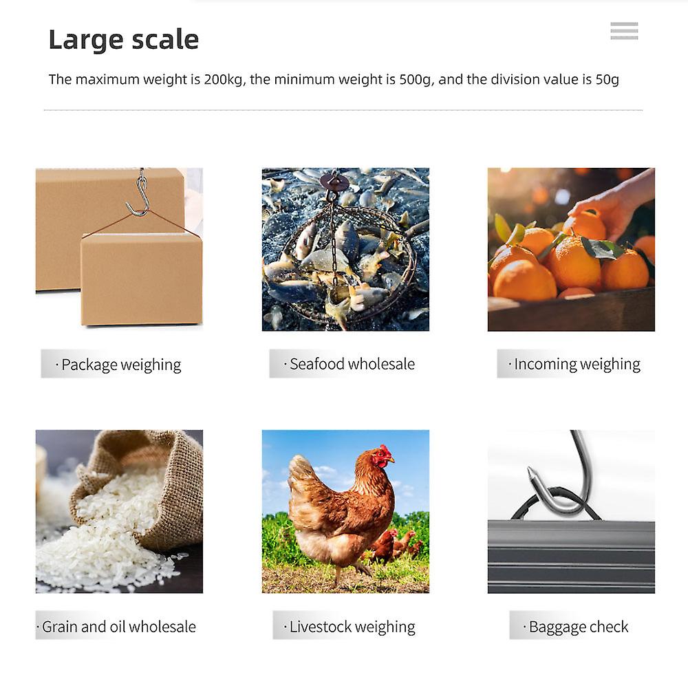 Mini Crane Scale – 200kg Capacity