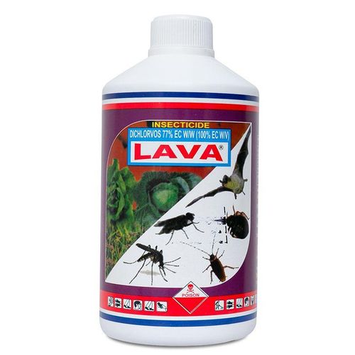 Lava Insecticide for Bedbugs and Cockroaches