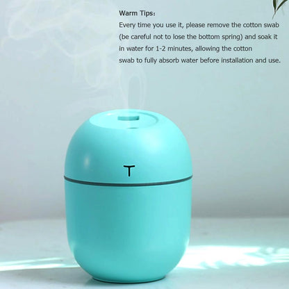 Colorful Egg Humidifier