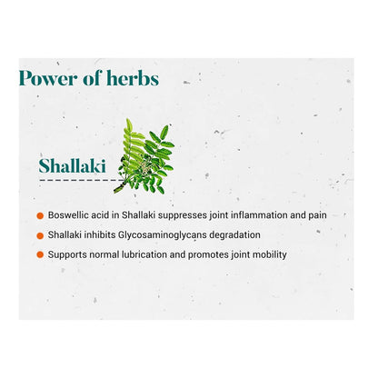 Himalaya Shallaki Bone & Joint Wellness Tablets