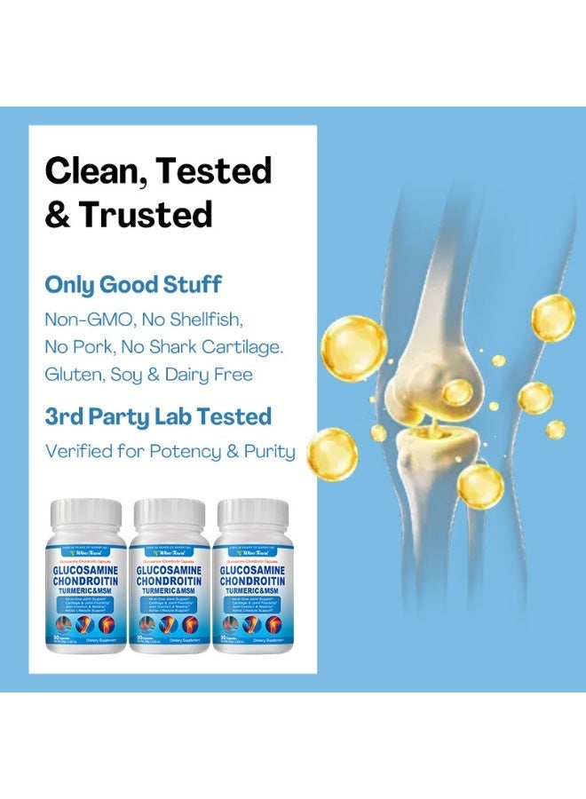 Glucosamine Chondroitin Tumeric & MSM F