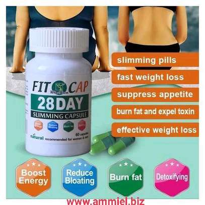 Fit cap 28 day slimming capsule