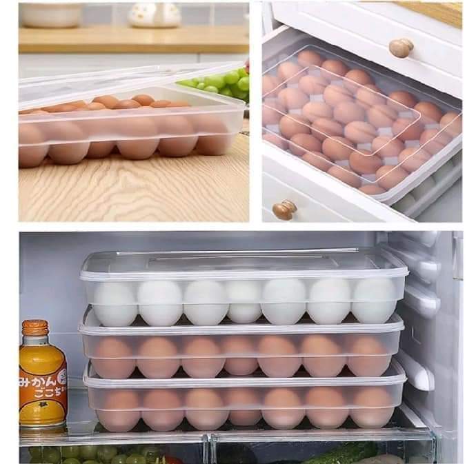 34 Eggs Tray Storage Container