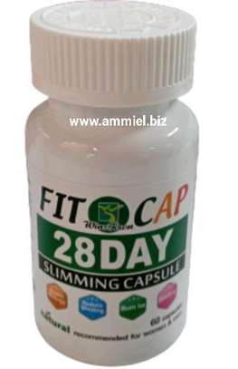 Fit cap 28 day slimming capsule