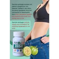 Fit cap 28 day slimming capsule