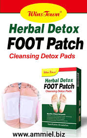 Wins Town Herbal Detox FOOT Patch 30 Pads