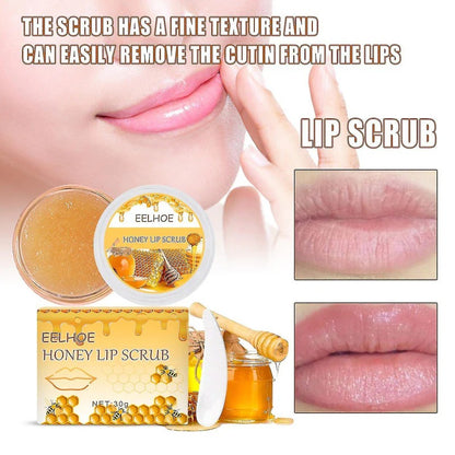 EELHOE Honey Lip Scrub Exfoliator & Moisturizer with Lip Brush